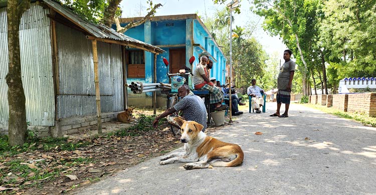 তাপমাত্রা ৪০ ছুঁই ছুঁই, তেতে আছে চুয়াডাঙ্গা