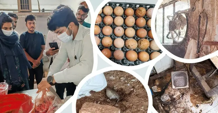 চট্টগ্রামে সাদিয়া’স কিচেনকে ৩ লাখ টাকা জরিমানা