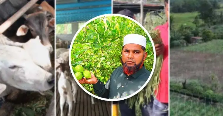 মালয়েশিয়ায় শ্রমিক থেকে শিল্পপতি