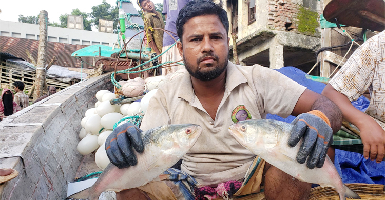 ১৬ লাখ টাকায় বিক্রি হলো এক ট্রলার ইলিশ