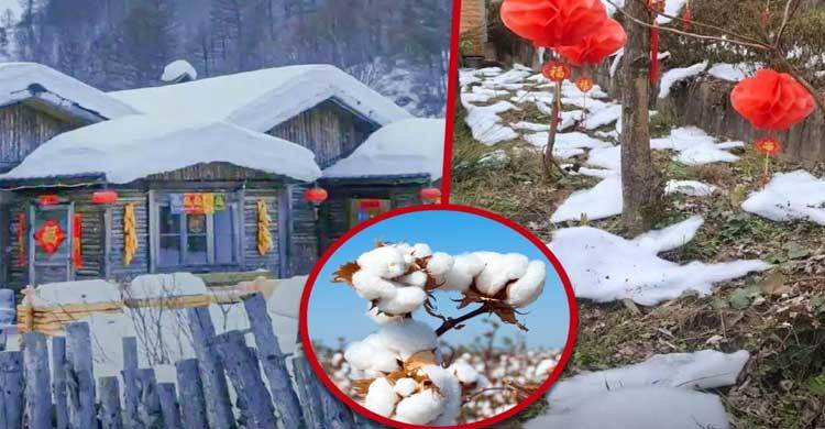 তুলা-সাবান পানি দিয়ে তুষার বানিয়ে পর্যটক আকর্ষণের চেষ্টা