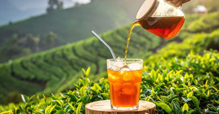 গরমে প্রশান্তি পেতে ঘরেই বানান আইসড টি