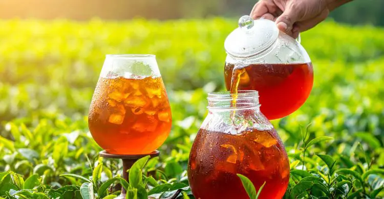 গরমে প্রশান্তি পেতে ঘরেই বানান আইসড টি