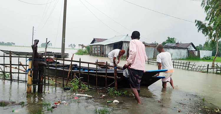 নীলফামারীতে কমছে পানি, স্বস্তি ফিরছে তিস্তাপাড়ে