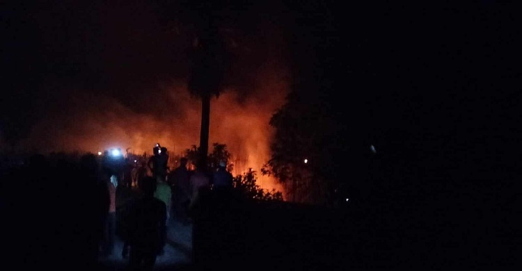 চুয়াডাঙ্গায় আগুনে পুড়ে ছাই ৮০ বিঘা পানের বরজ