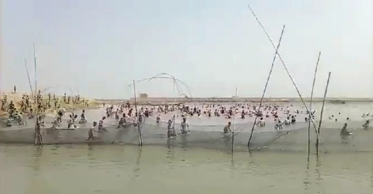 ইটনায় জলমহাল থেকে কোটি টাকার মাছ লুট