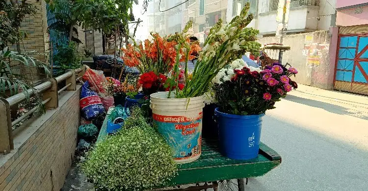 ভালোবাসার গোলাপে দামের কাঁটা!