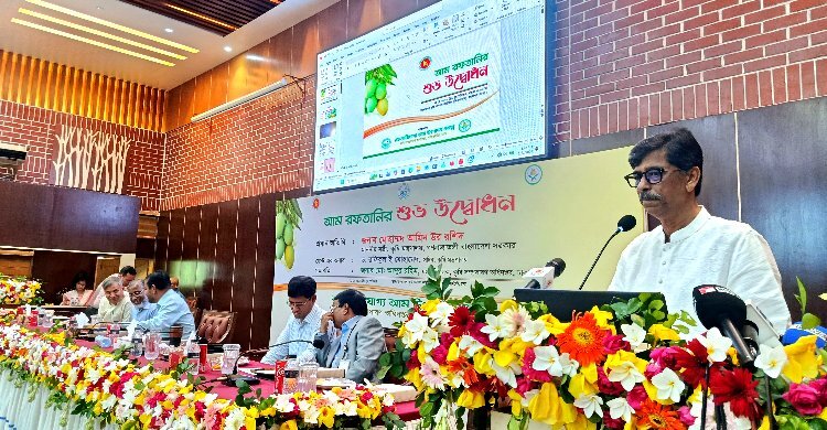 প্লেন ভাড়া কমাতে কত জোড়া জুতা ক্ষয় হয়েছে সে হিসাব নেই
