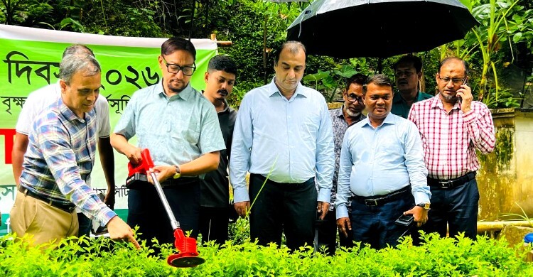 চট্টগ্রামে লাগানো হচ্ছে ১০ লাখ গাছ