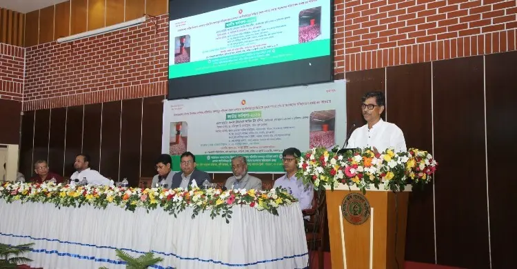 পেঁয়াজ সংরক্ষণে দেওয়া হবে নতুন ১৫ হাজার এয়ার ফ্লো মেশিন