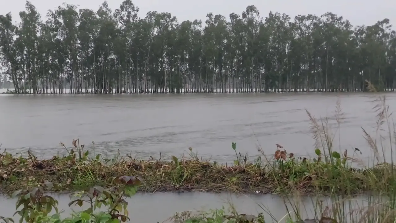 west bengal flood