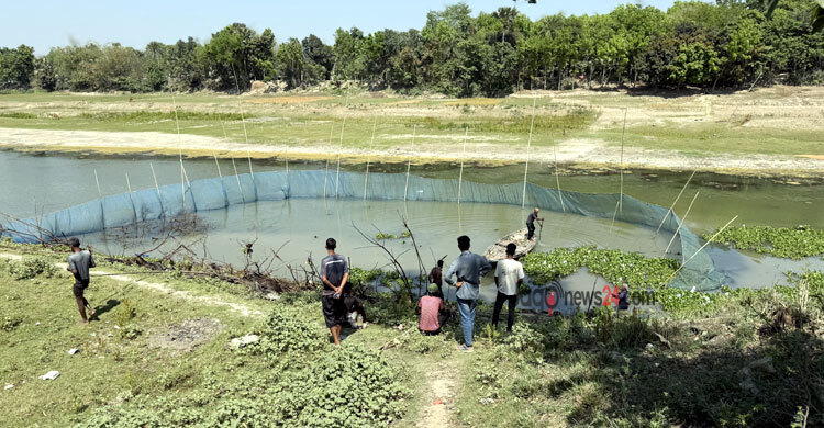 ছোট যমুনায় মা মাছ নিধনের মহোৎসব, ভাগ পাচ্ছে প্রভাবশালীরা