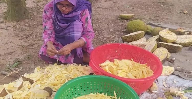 আঠার ফাঁদে আটকা কাঁঠালের সম্ভাবনা