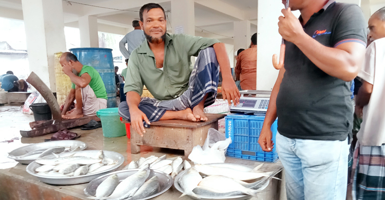 শ্রাবণেও মিলছে না ইলিশ, দাম চড়া