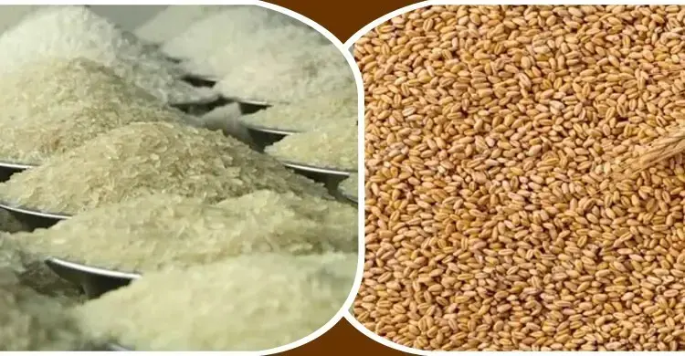 খাদ্যশস্য আমদানি প্রক্রিয়ায় সময় কমানোর সিদ্ধান্ত