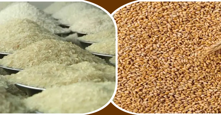 যুক্তরাষ্ট্র থেকে গম ও ভারত থেকে চাল আনছে সরকার, ব্যয় ১০৪৪ কোটি