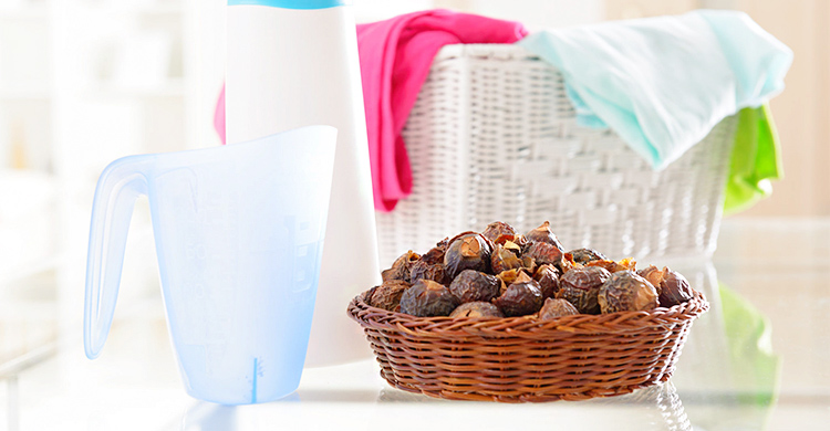 চুল ছাড়া রিঠা দিয়ে আরও যা পরিষ্কার করতে পারেন