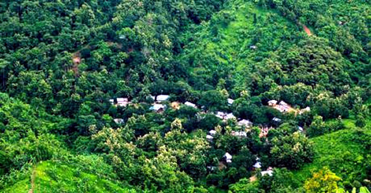 সবুজে ঘেরা শেরপুরের রাজার পাহাড়