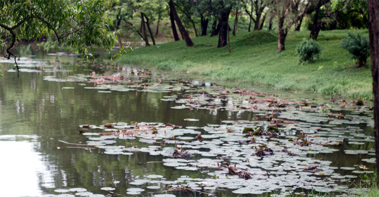 একদিনে ঘুরে আসুন জাতীয় স্মৃতিসৌধ