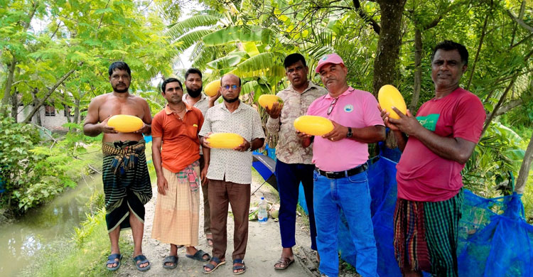 দেবহাটায় মাছের ঘেরে তরমুজ চাষ, কৃষকের মুখে হাসি
