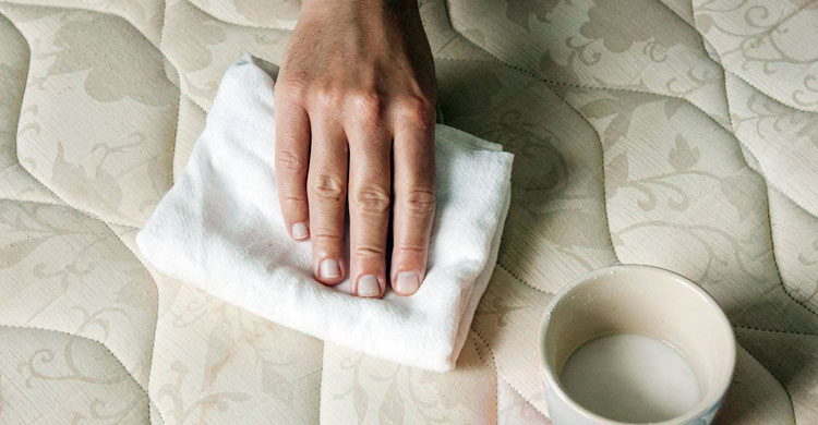 বিছানার তোশক পরিষ্কার করার সহজ উপায়