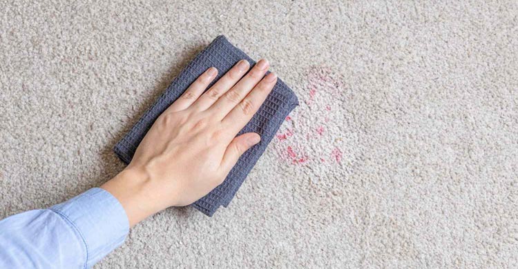 বাড়িতে থাকা উপাদানেই দূর হবে পাপোশের সব দাগ