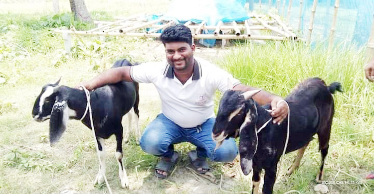 পশুপালনে সফল হওয়ার স্বপ্ন অপুর