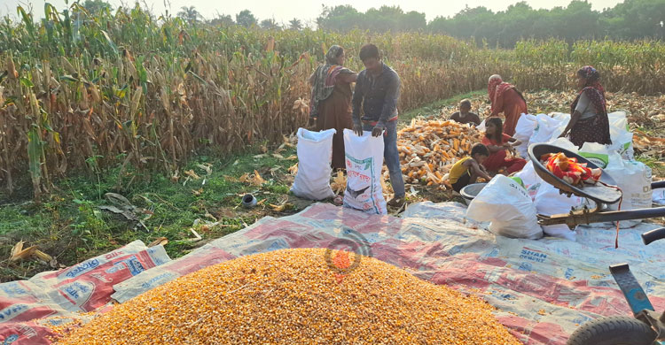 ঝিনাইদহ