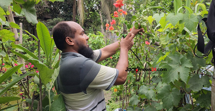 শোভনের বাগানে শোভা পাচ্ছে ৮ প্রজাতির আঙুর