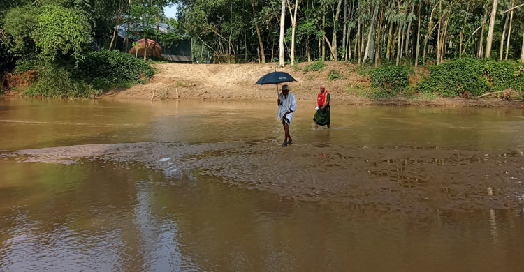 সবুজে ঘেরা শেরপুরের রাজার পাহাড়