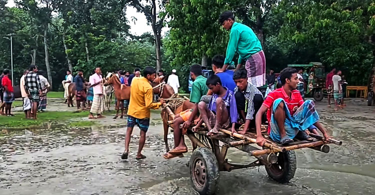 ঘোড়ার ‘রিমান্ড’ দেখতে যেতে পারেন তুলসীপুরে