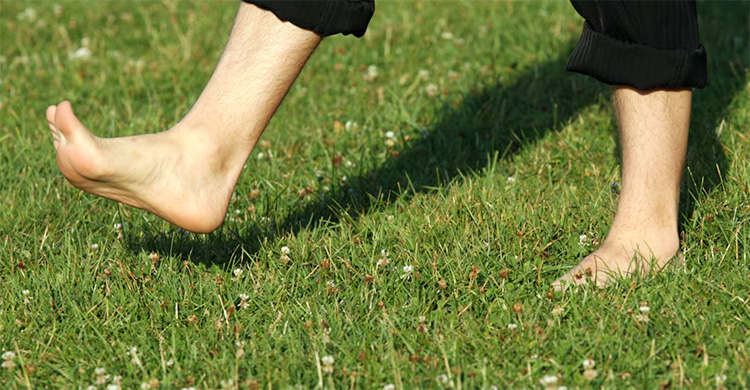 হেমন্তের সকালে খালিপায়ে শিশিরে হাঁটলে যা ঘটে