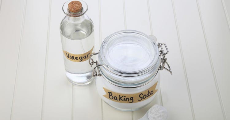 বাড়িতে থাকা উপাদানেই দূর হবে পাপোশের সব দাগ