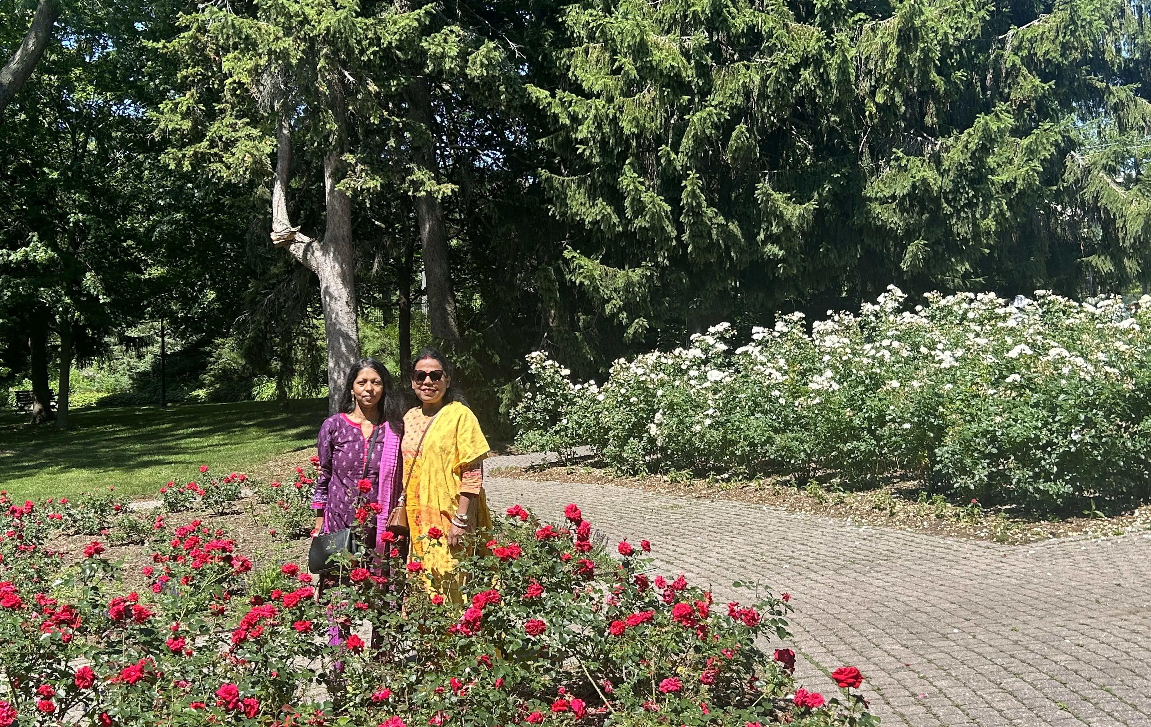 garden