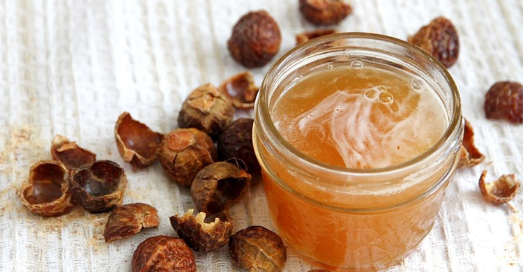 চুল ছাড়া রিঠা দিয়ে আরও যা পরিষ্কার করতে পারেন