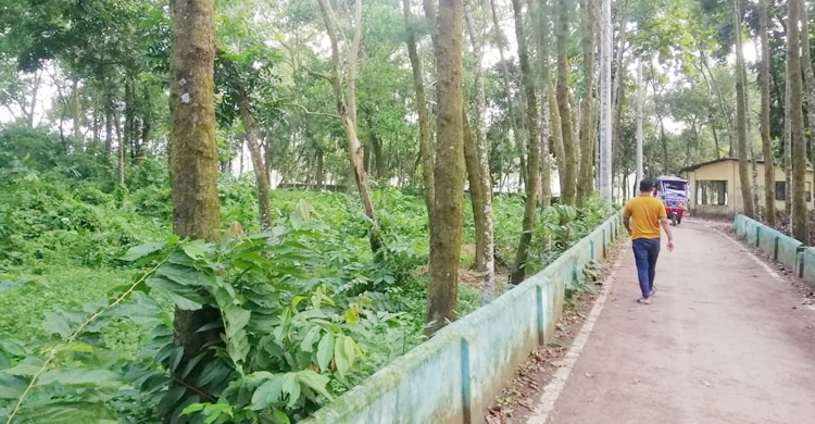 ঠিকমতো গোসল-জানাজাও হয় না বেওয়ারিশ মরদেহগুলোর