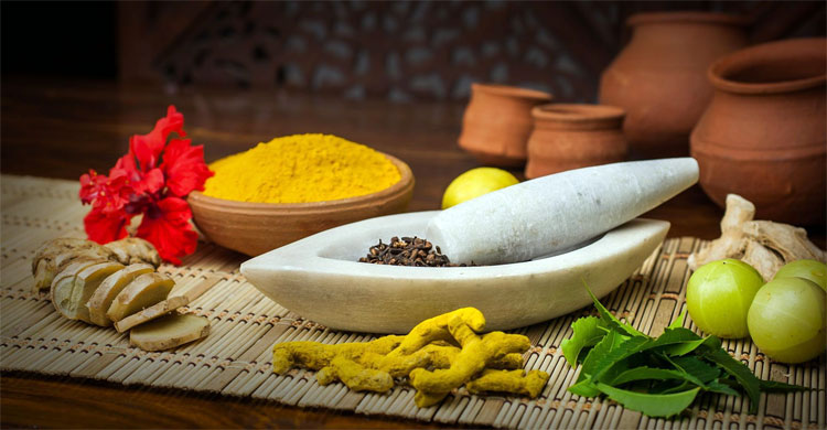 রোগ প্রতিরোধ ও সার্বিক চিকিৎসায় আয়ুর্বেদ