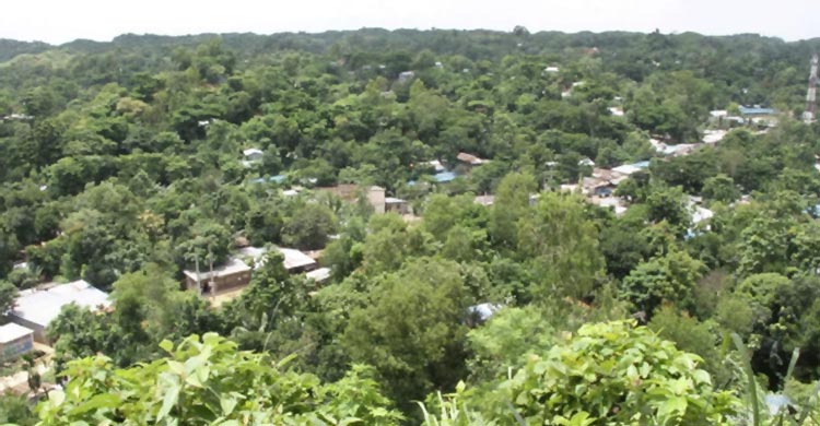 জঙ্গল সলিমপুরে সাঁড়াশি অভিযান, আস্তানা ঘিরে রেখেছে যৌথবাহিনী