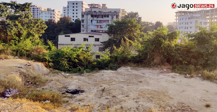 পাহাড়খেকোদের ছোবলে নীল ‘নাগিন পাহাড়’