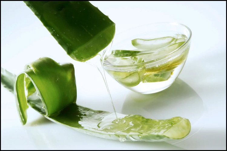 শীতের আগে ফাটা ঠোঁটের সহজ ঘরোয়া সমাধান