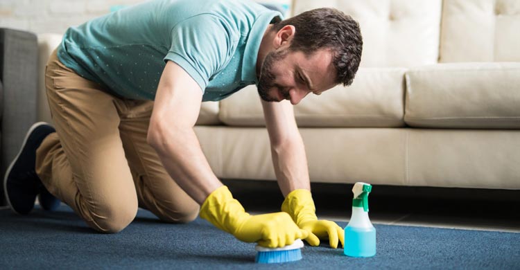 বাড়িতে থাকা উপাদানেই দূর হবে পাপোশের সব দাগ