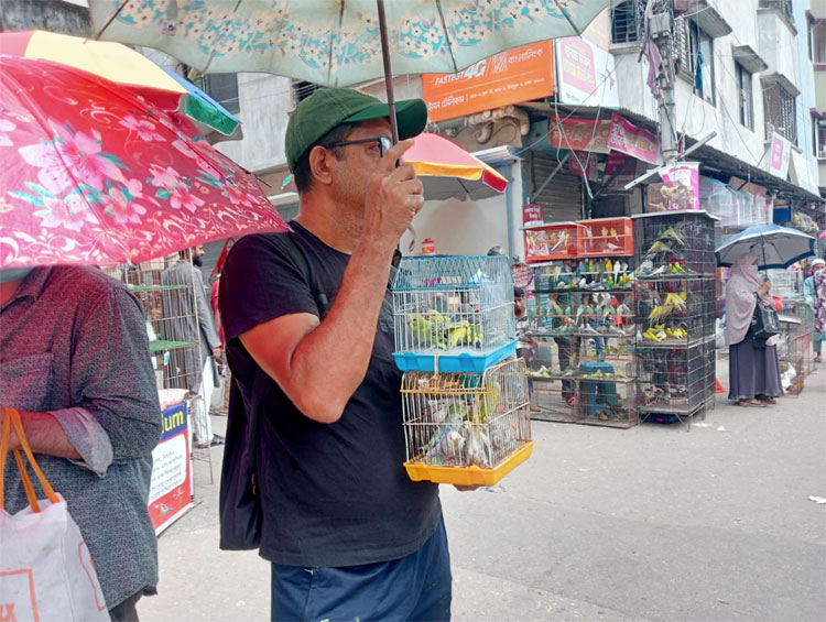যে হাটে পাখির দাম হাজার থেকে লাখ টাকা