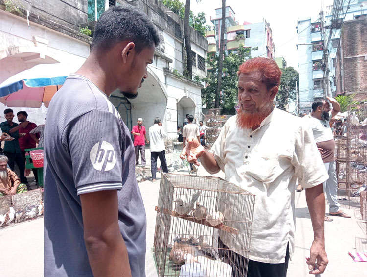 যে হাটে পাখির দাম হাজার থেকে লাখ টাকা