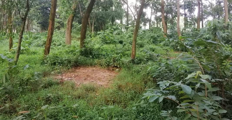 ঠিকমতো গোসল-জানাজাও হয় না বেওয়ারিশ মরদেহগুলোর