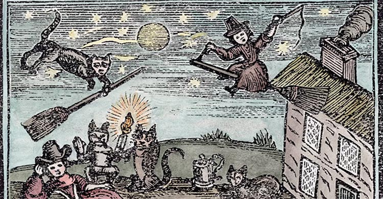 ইউরোপে বিড়ালের অন্ধকার অধ্যায়, সমুদ্রে সৌভাগ্যের সঙ্গী