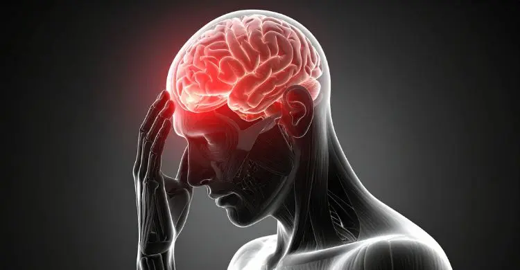 পানি কম খেলে মাথা ব্যথা করে কেন?