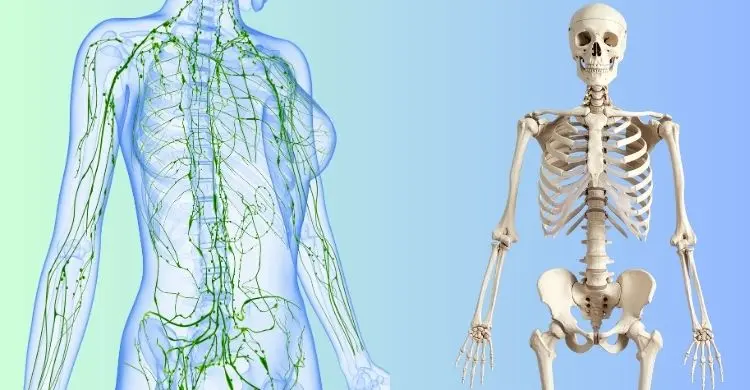 গবেষণায় নারীর শরীর নিয়ে যেসব নতুন তথ্য জানা গেল