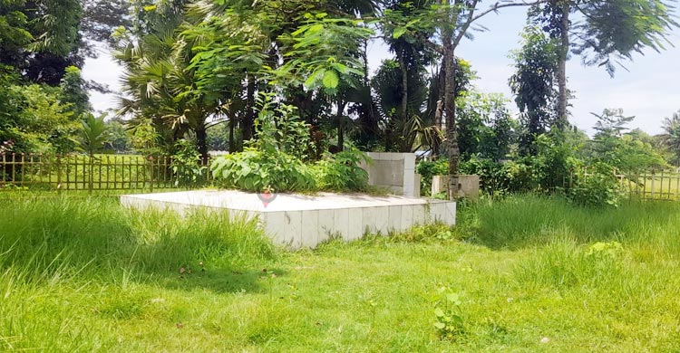 সম্মান আছে, স্বীকৃতি নেই