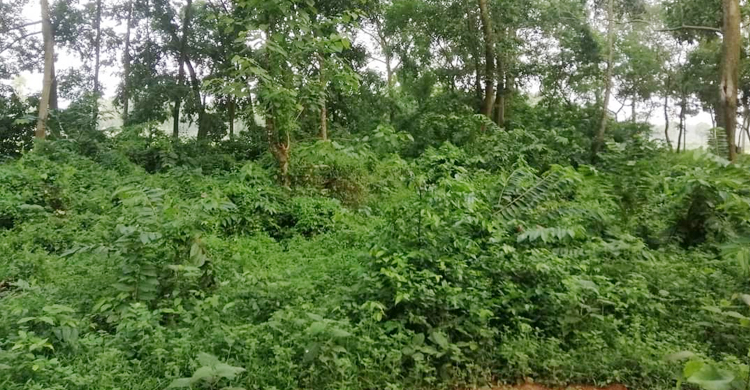 ঠিকমতো গোসল-জানাজাও হয় না বেওয়ারিশ মরদেহগুলোর