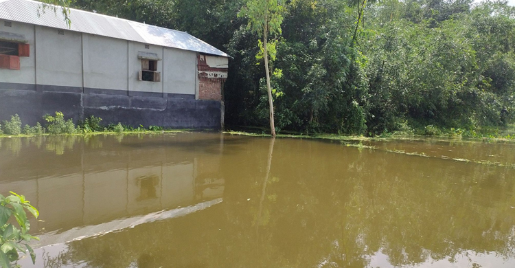 নালা বন্ধ করে বাড়ি নির্মাণ, জলাবদ্ধ ৭০০ একর ফসলি জমি